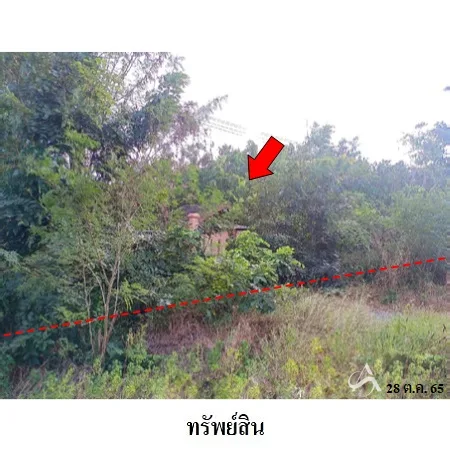 ที่ดินเปล่า พัฒนานิคม ลพบุรี 24-1-78.6ไร่ - 4