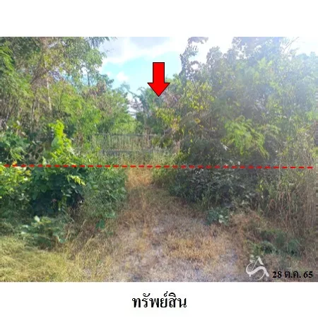 ที่ดินเปล่า พัฒนานิคม ลพบุรี 24-1-78.6ไร่ - 5