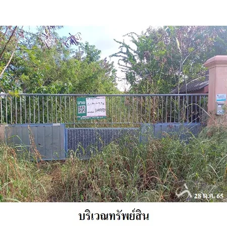 ที่ดินเปล่า พัฒนานิคม ลพบุรี 24-1-78.6ไร่ - 6