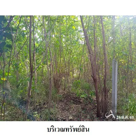 ที่ดินเปล่า พัฒนานิคม ลพบุรี 24-1-78.6ไร่ - 7