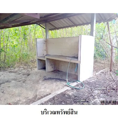 ที่ดินเปล่า พัฒนานิคม ลพบุรี 24-1-78.6ไร่ - 10
