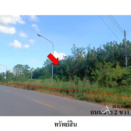 ที่ดินเปล่า พัฒนานิคม ลพบุรี 24-1-78.6ไร่ - 14