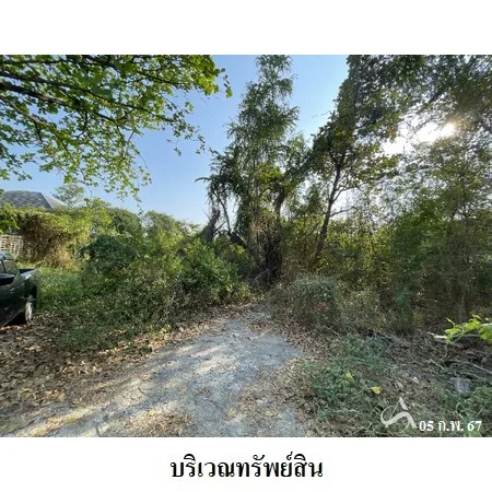 ที่ดินเปล่า กระทุ่มแบน สมุทรสาคร 1-2-0ไร่ - 7