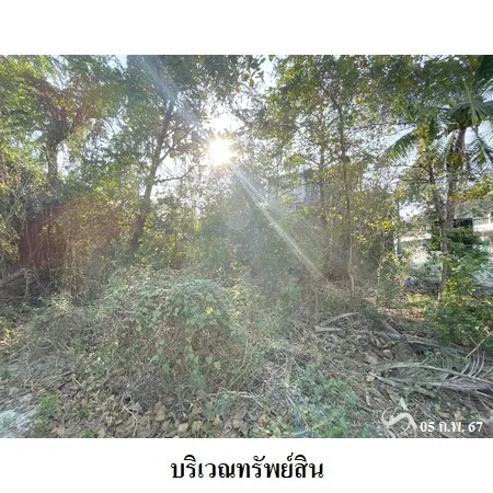 ที่ดินเปล่า กระทุ่มแบน สมุทรสาคร 1-2-0ไร่ - 8