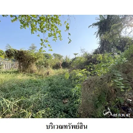 ที่ดินเปล่า กระทุ่มแบน สมุทรสาคร 1-2-0ไร่ - 9
