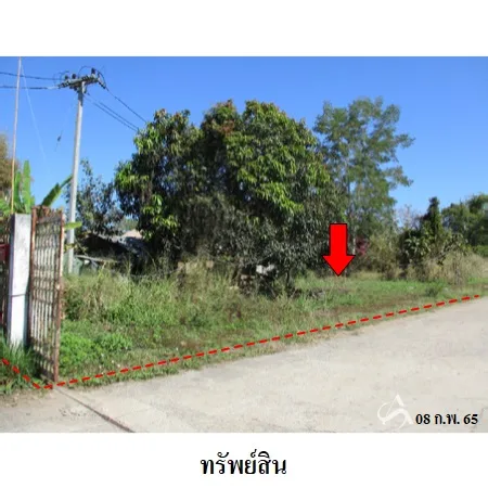 ที่ดินเปล่า แม่แตง เชียงใหม่ 5-0-67ไร่ - 2