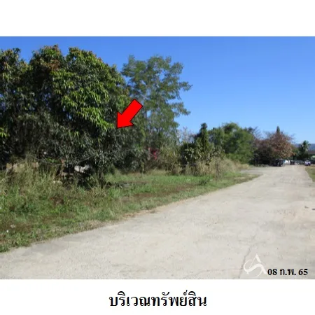 ที่ดินเปล่า แม่แตง เชียงใหม่ 5-0-67ไร่ - 3
