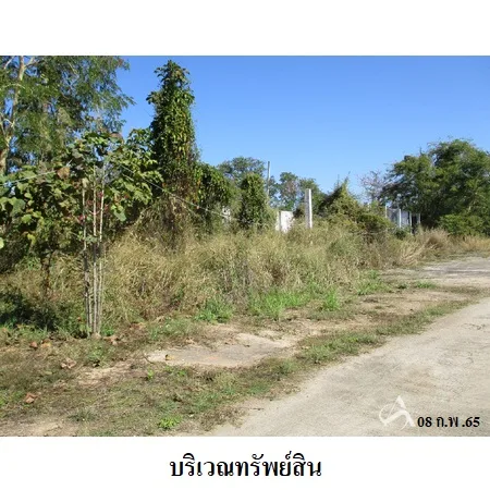 ที่ดินเปล่า แม่แตง เชียงใหม่ 5-0-67ไร่ - 4
