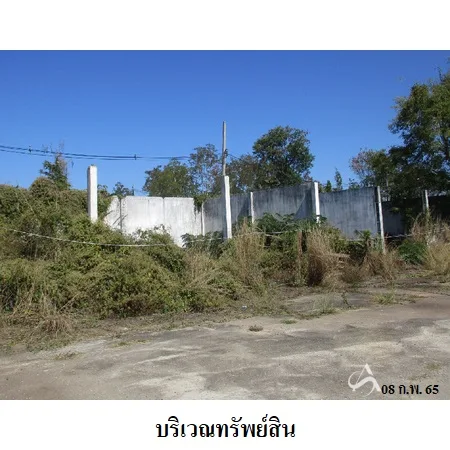 ที่ดินเปล่า แม่แตง เชียงใหม่ 5-0-67ไร่ - 5
