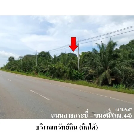 ที่ดินเปล่า พระแสง สุราษฎร์ธานี 19-2-58ไร่ - 2
