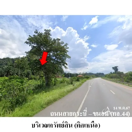ที่ดินเปล่า พระแสง สุราษฎร์ธานี 19-2-58ไร่ - 4