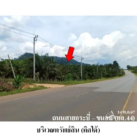 ที่ดินเปล่า พระแสง สุราษฎร์ธานี 19-2-58ไร่ - 8