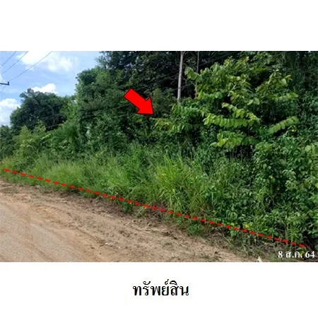 ที่ดินเปล่า นิคมพัฒนา ระยอง 12-0-75ไร่ - 3