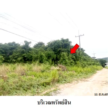 ที่ดินเปล่า นิคมพัฒนา ระยอง 12-0-75ไร่