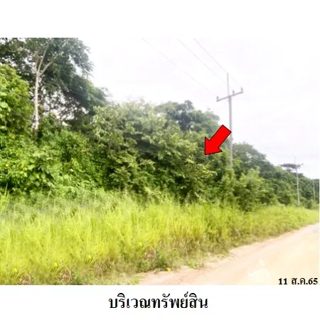 ที่ดินเปล่า นิคมพัฒนา ระยอง 12-0-75ไร่ - 4