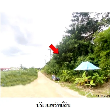 ที่ดินเปล่า นิคมพัฒนา ระยอง 12-0-75ไร่ - 5