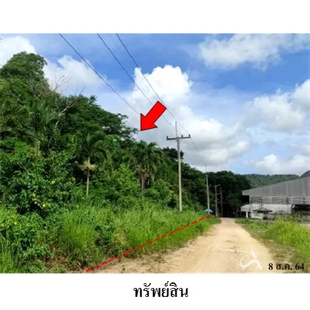 ที่ดินเปล่า นิคมพัฒนา ระยอง 12-0-75ไร่ - 8