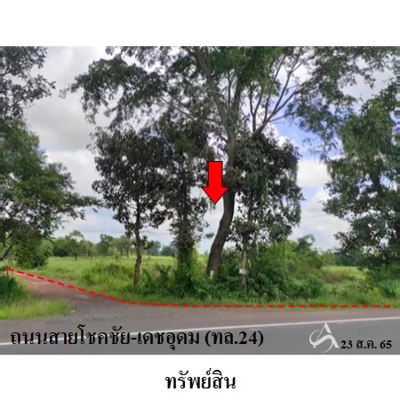ที่ดินเปล่า เดชอุดม อุบลราชธานี 36-0-62ไร่ - 6