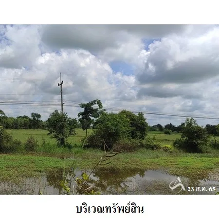 ที่ดินเปล่า เดชอุดม อุบลราชธานี 36-0-62ไร่ - 11