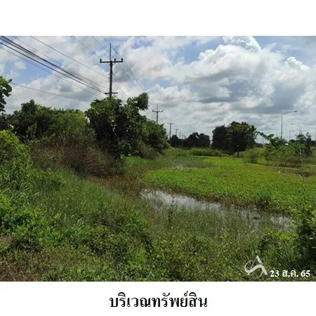 ที่ดินเปล่า เดชอุดม อุบลราชธานี 36-0-62ไร่ - 12