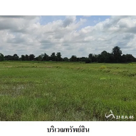 ที่ดินเปล่า เดชอุดม อุบลราชธานี 36-0-62ไร่ - 13