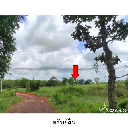 ที่ดินเปล่า เดชอุดม อุบลราชธานี 36-0-62ไร่ - 7