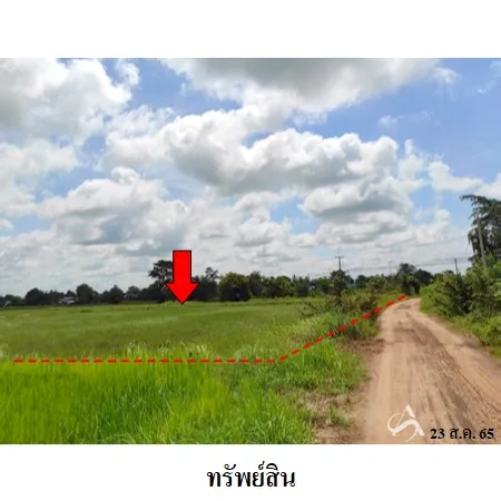 ที่ดินเปล่า เดชอุดม อุบลราชธานี 36-0-62ไร่ - 9