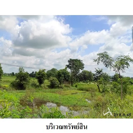 ที่ดินเปล่า เดชอุดม อุบลราชธานี 36-0-62ไร่ - 10