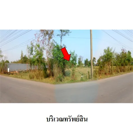 ที่ดินเปล่า มีนบุรี กรุงเทพฯ 2-1-29ไร่ - 3